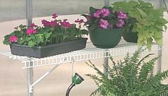Greenhouse Shelf
