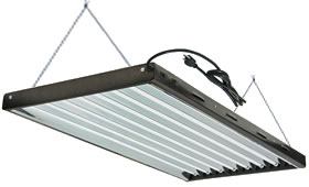 T5 Fluorescent Grow Light System