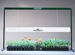 Green Thumb Plant Grow Light System