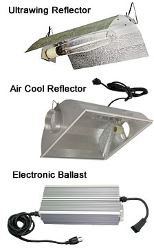Switchable Electronic Ballast Grow Light
