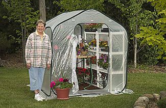 SpringHouse Flower House Greenhouse