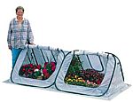 Starter Flowerhouse Greenhouses