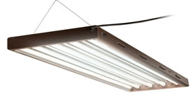 ACF flourescent grow lights