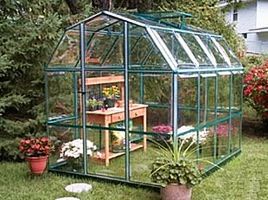 Hobby Enthusiast Greenhouse