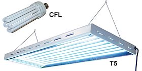 ACF flourescent grow lights