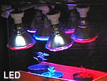 LED grow lights