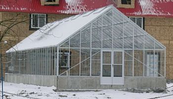 Cottage Poly and Glass Greenhouse