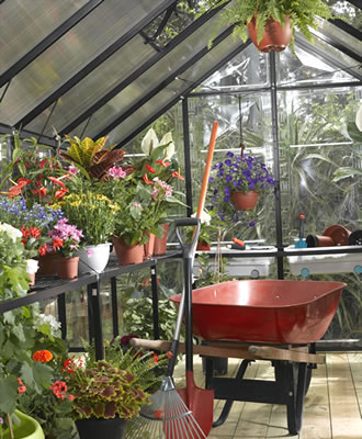 Easy Grow Clear Greenhouse