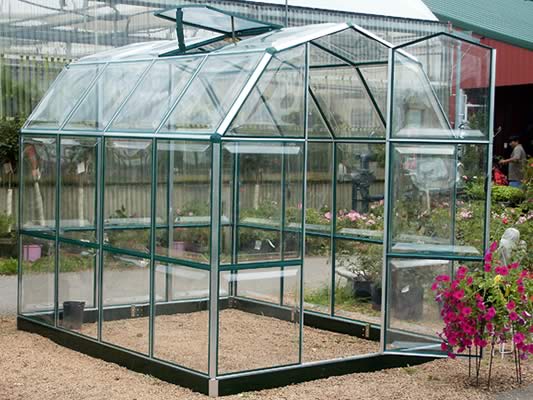 Enthusiast Greenhouse